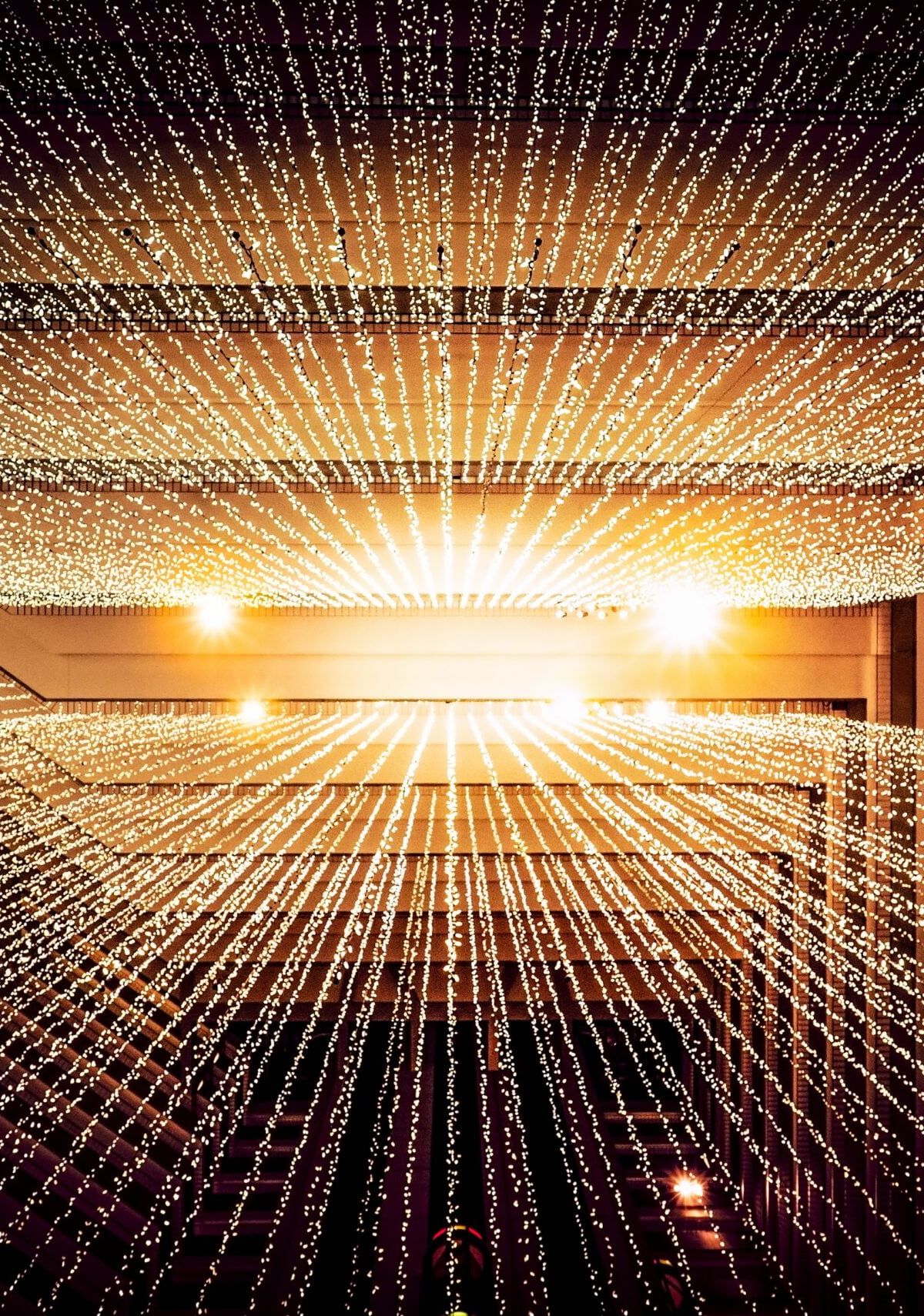LENS for ScaleUps Program - Free Virtual Data Room