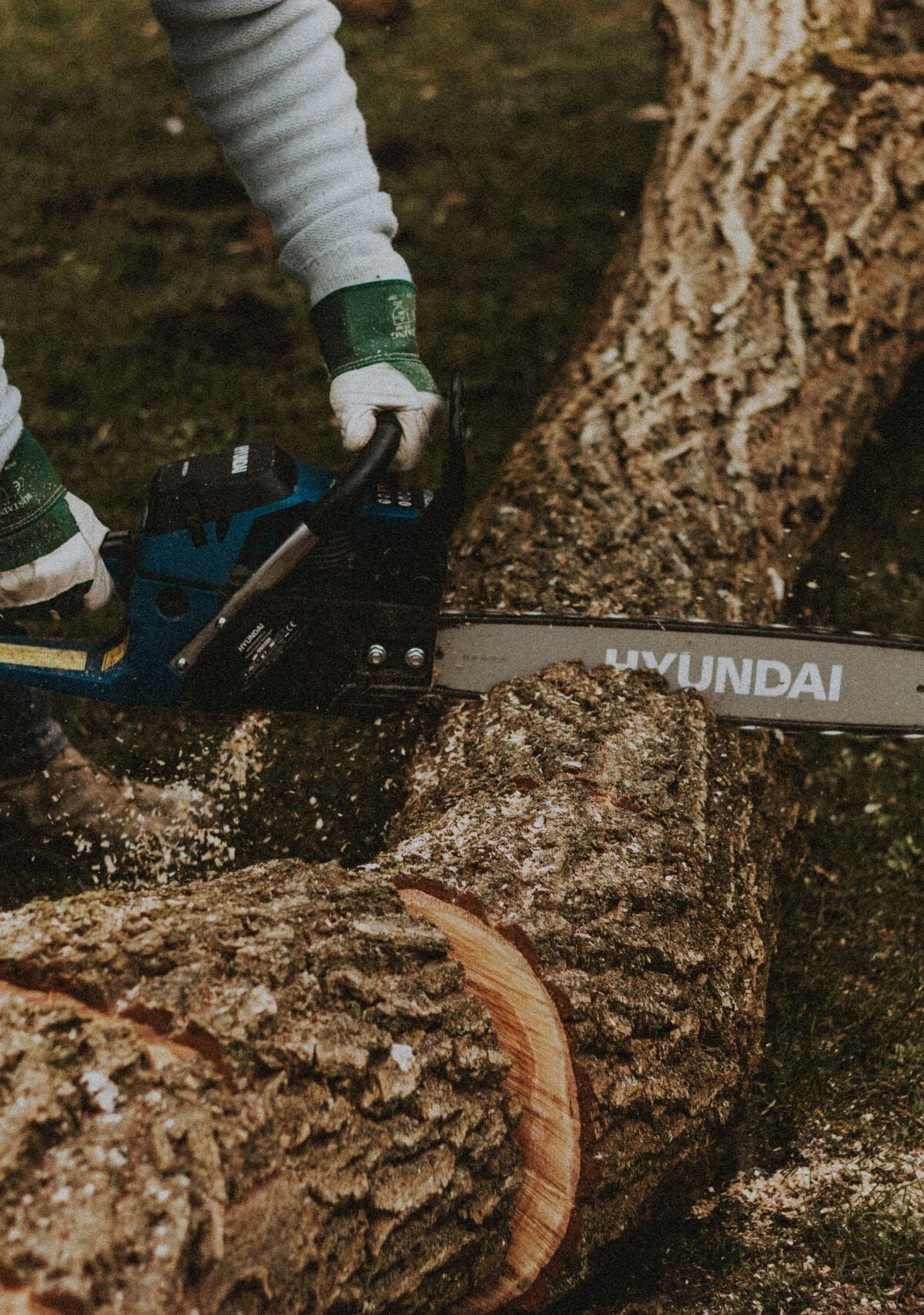 Carve-Out: Where Do You Start?