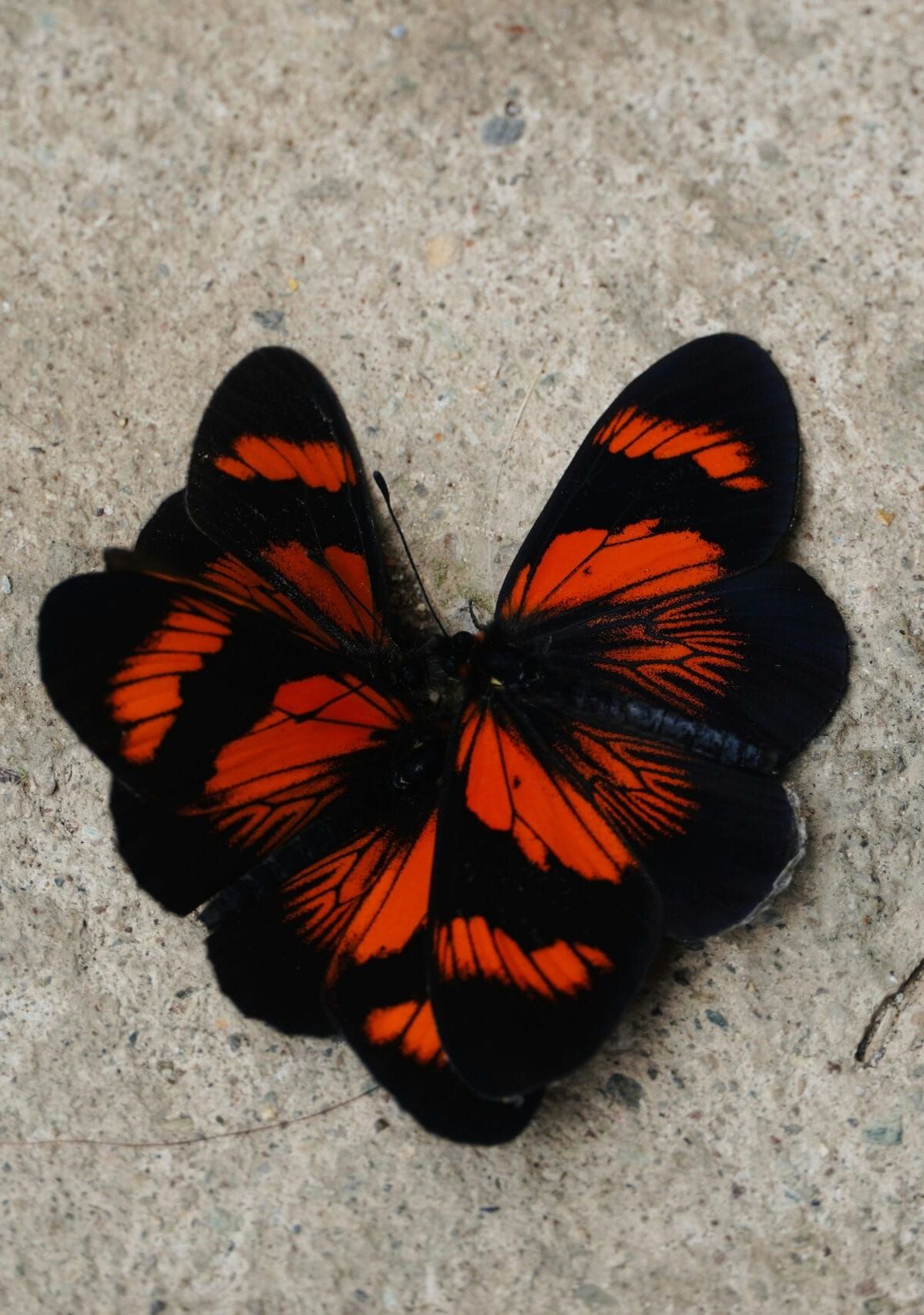 Transforming M&A IT Integration Consulting
