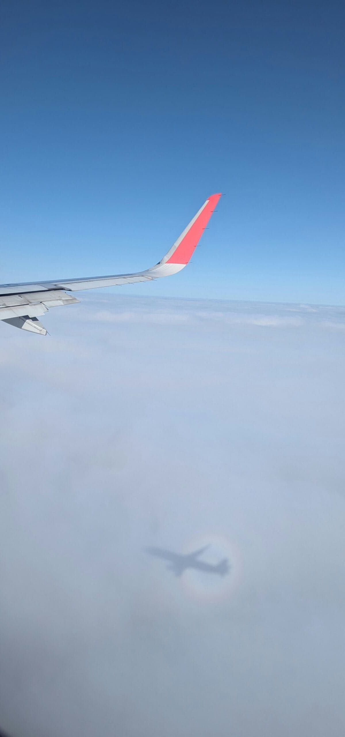 Cloud Exit Continues to Demonstrate Great ROI