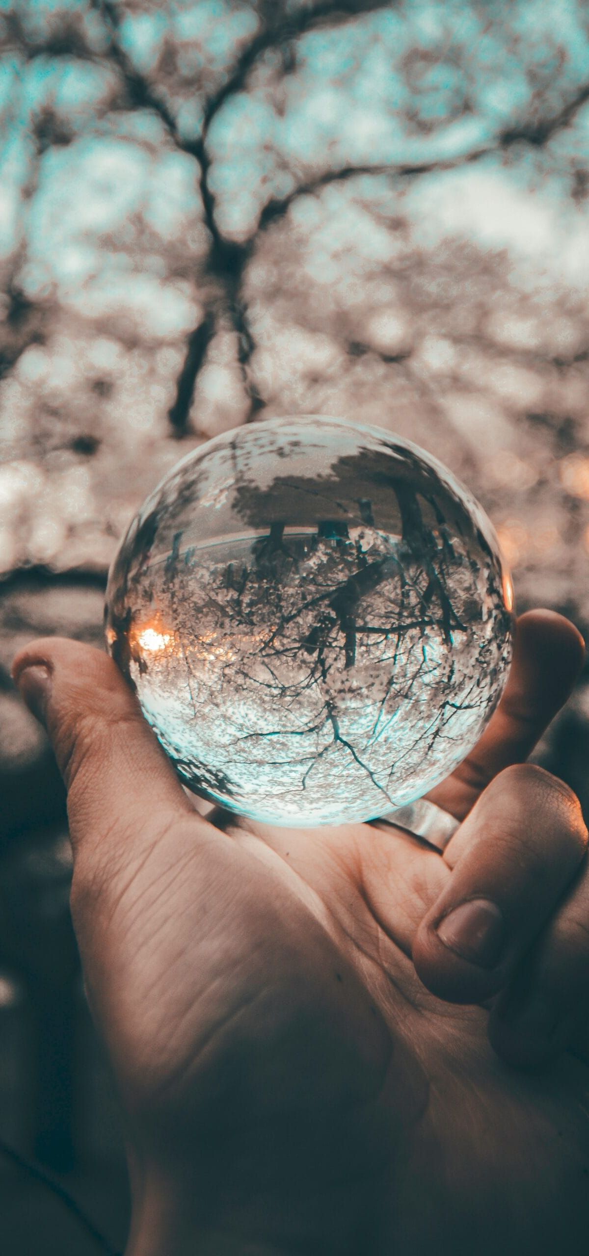 Adapting "Lessons Learned" for IT M&A Projects