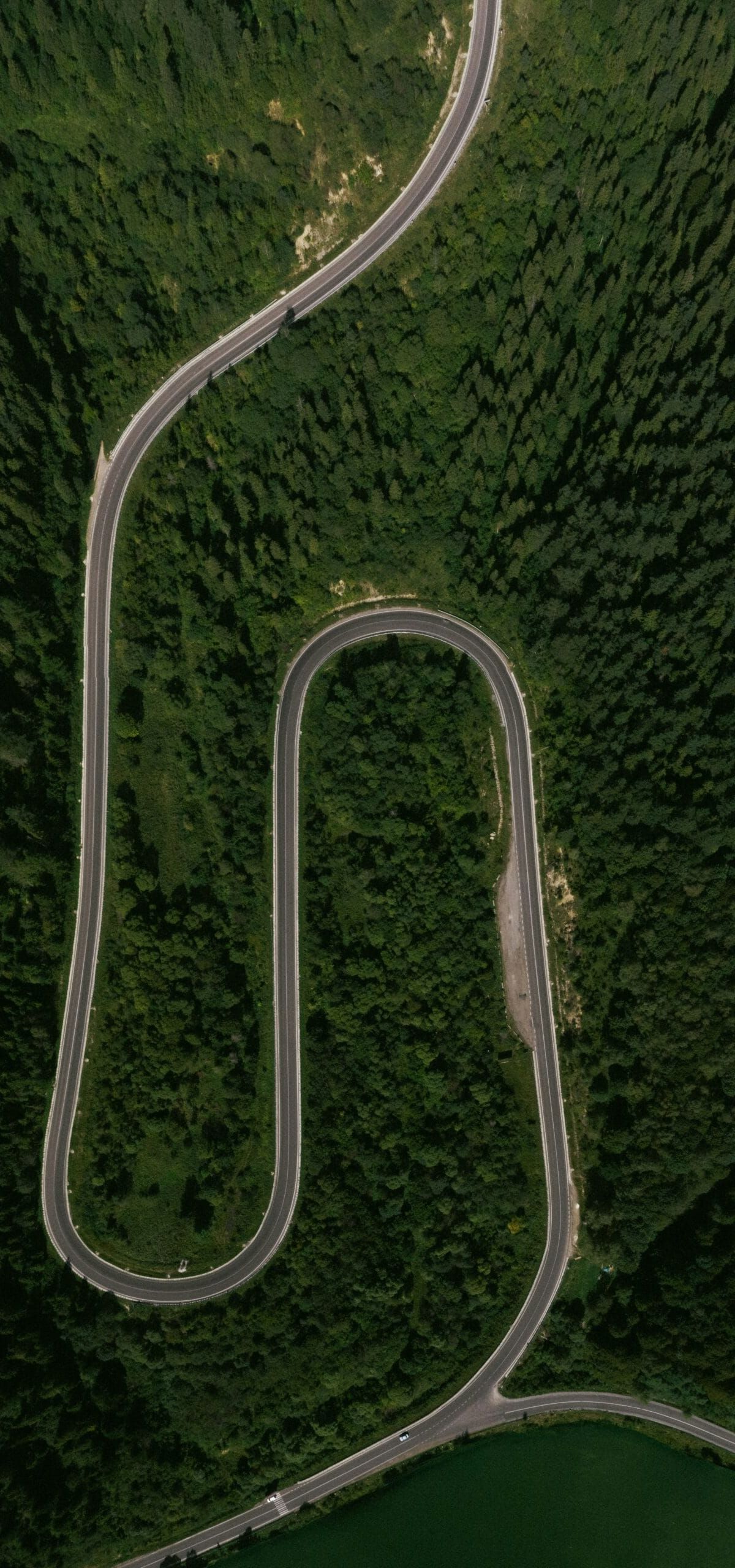 Difficult Roads Lead to Beautiful Destinations: What Buyouts Reveal About Growth
