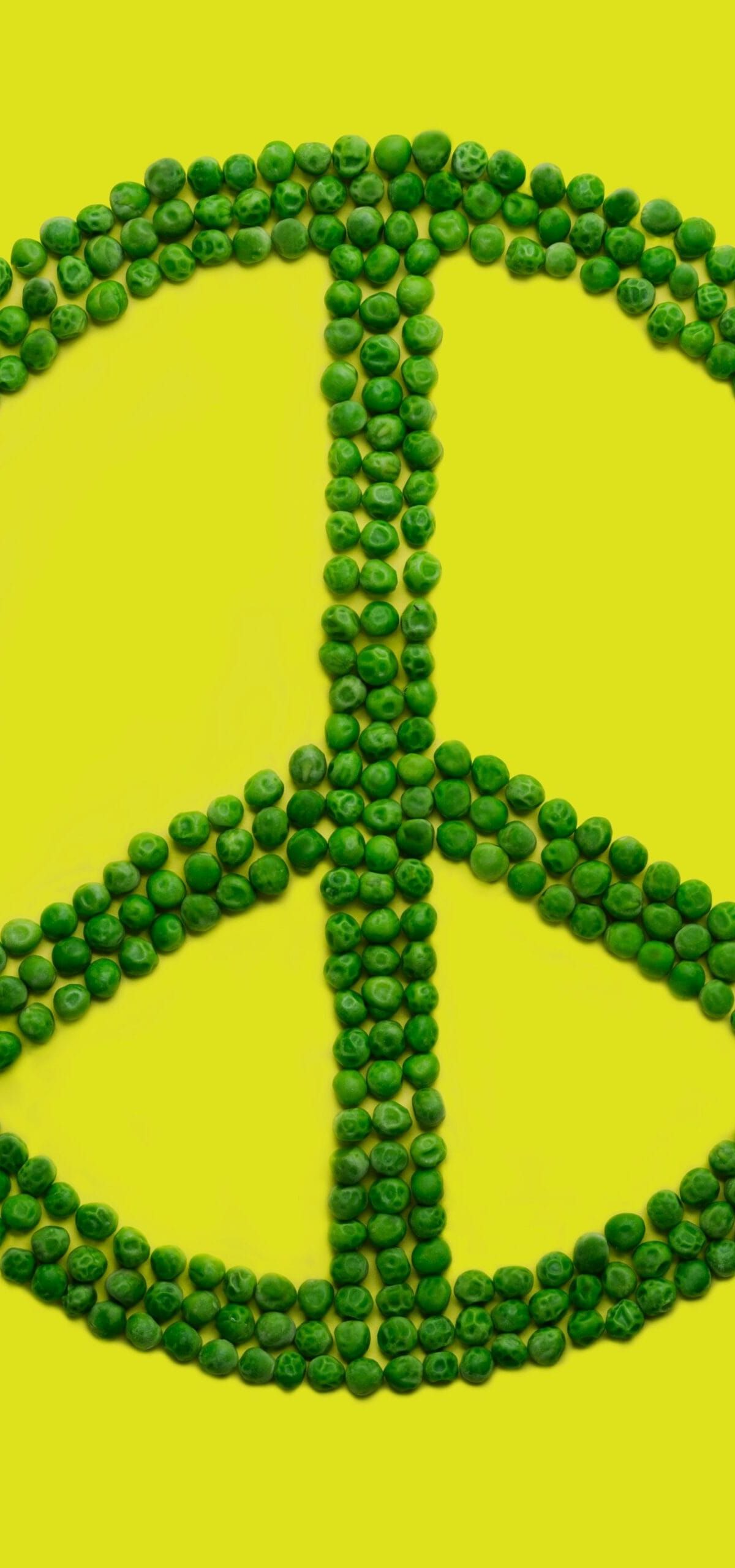 Navigating the Trade-Offs of Post-Merger Federation